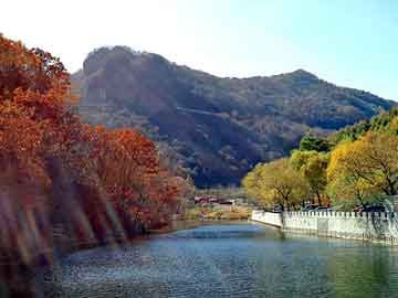 新澳天天开奖资料大全旅游团，卢龙seo营销